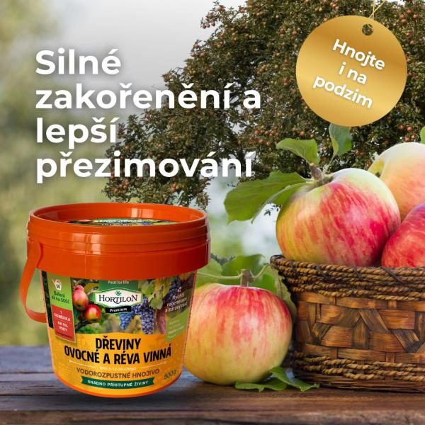 kampa 2025 OVOCNE DEVINY2