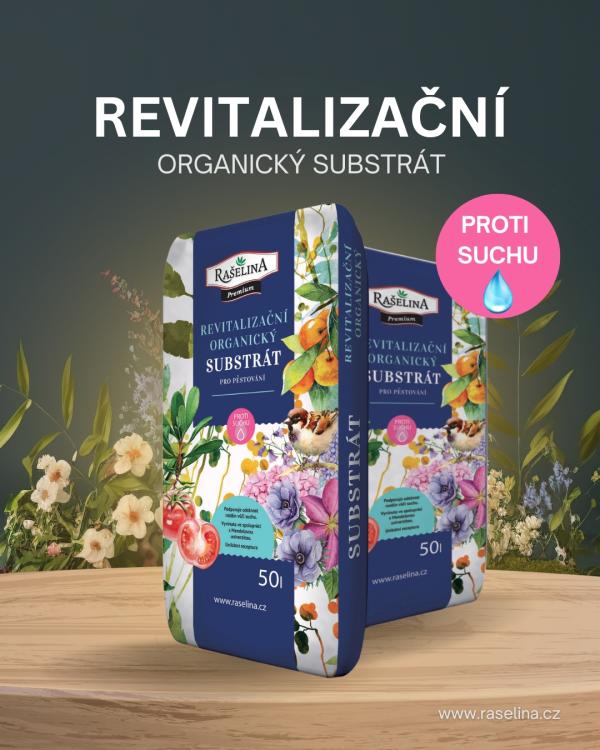 Pispvek IG 10801350px 3