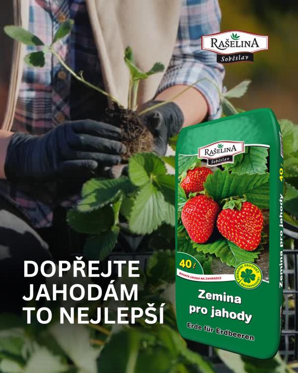 Pispvek IG Pispvek na Instagramu 45 1