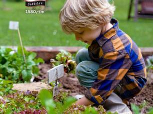 Pispvek IG 10801350px2