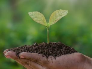 Vyprodej Zahradni centrum Pispvek na Instagramu 46