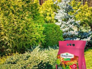 instagram pispvek ZK 7