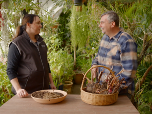 tv nova kopie zmensene