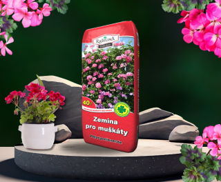 Muskaty 800 x 600 px2