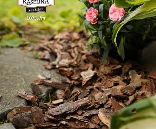 Pispvek IG 10801350px 2