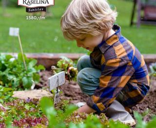 Pispvek IG 10801350px2