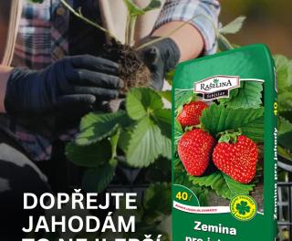 Pispvek IG Pispvek na Instagramu 45 2