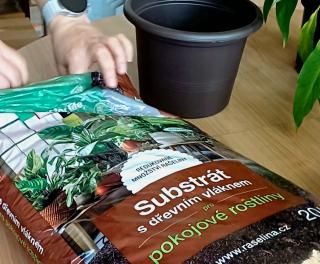 Screenshot 20250307 074429 Gallery