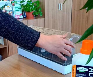 Screenshot 20250321 103834 Gallery