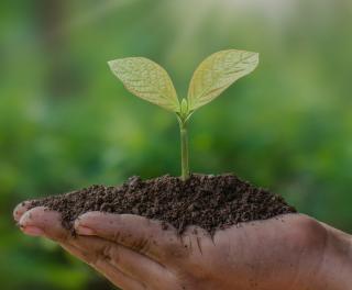 Vyprodej Zahradni centrum Pispvek na Instagramu 45