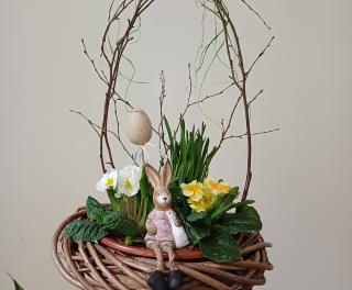 zmensena velikost jarni miska2