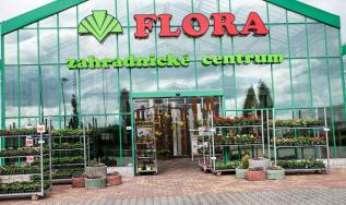 exterieryjicin 2 male